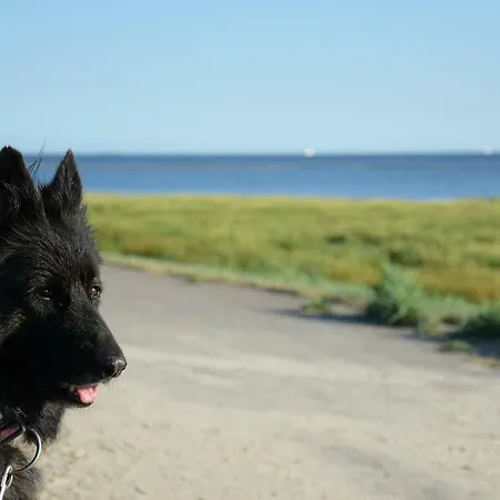 Rodhus Nordsee Casa de Férias *