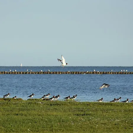 Rodhus Nordsee Casa de Férias *