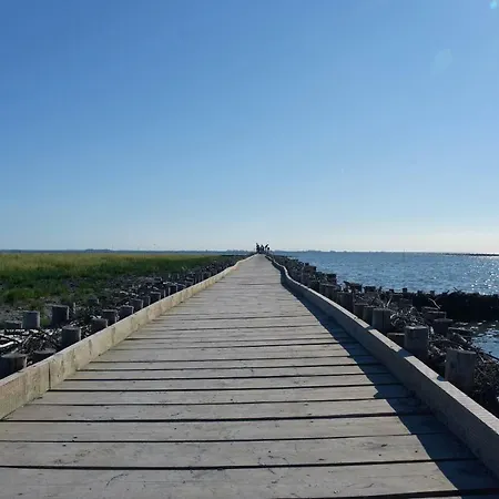 Rodhus Nordsee Galmsbull